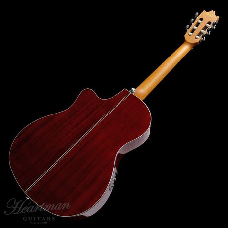 [Discontinued_Special_Price]_Ibanez_GA30TCE-TRD_02