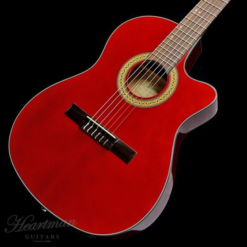 [Discontinued_Special_Price]_Ibanez_GA30TCE-TRD_03