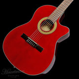 [Discontinued_Special_Price]_Ibanez_GA30TCE-TRD_03