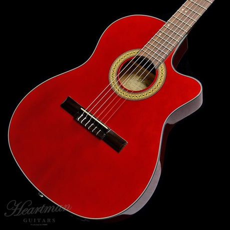 [Discontinued_Special_Price]_Ibanez_GA30TCE-TRD_03