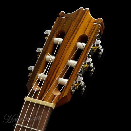 [Discontinued_Special_Price]_Ibanez_GA30TCE-TRD_06