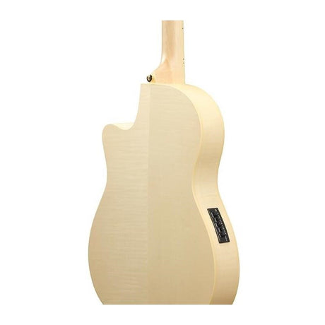 [Discontinued]_GA39TCE-NTF_Ibanez_03