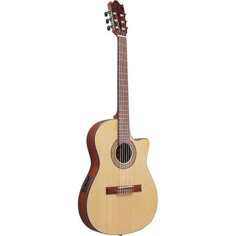 [Discontinued]_Ibanez_GA30TCE-NT_03