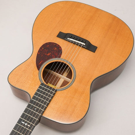 E1-OMCE-Special_Eastman_05