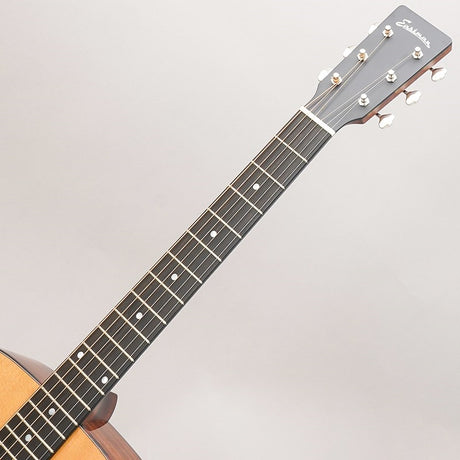 E1D-Deluxe_Eastman_10