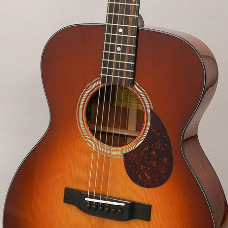 E1OM-DLX_GB_Eastman_07
