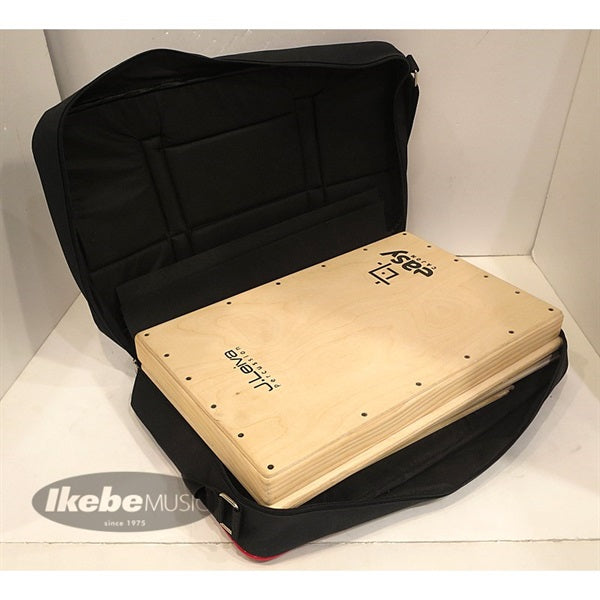 EASY_CAJON_[Foldable_Cajon___Comes_with_dedicated_case]_05