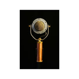 EDWINA_(Pre-order_item)_02