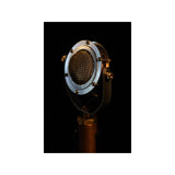 EDWINA_(Pre-order_item)_06