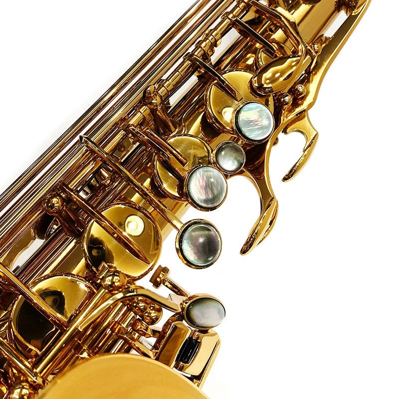 Eastman_EAS652GL_Alto_Saxophone_[Adjusted_and_Set_Up_Before_Shipment]_[Free_Key_Balance_Adjustment_for_5_Years]_[Fall_Super_Sale]_03