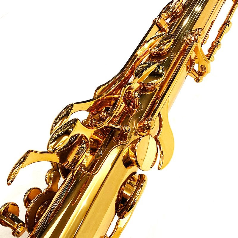 Eastman_ETS652GL_Tenor_Saxophone_[Adjusted_and_Set_Up_Before_Shipment]_[Free_Key_Balance_Adjustment_for_5_Years]_[Fall_Super_Sale]_04