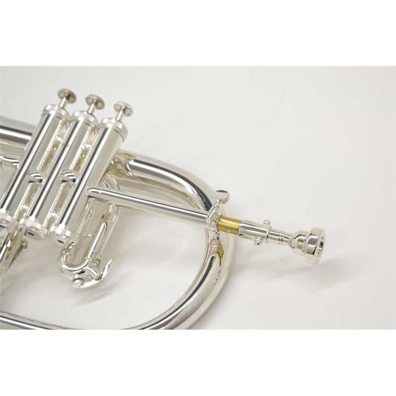 FG-550S_[Bb_Flugelhorn]_[Slightly_damaged，_super_special_price!!]_03