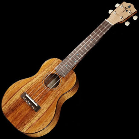 FGN_Acoustic_FUS-TC_[Concert]_Fujigen_01