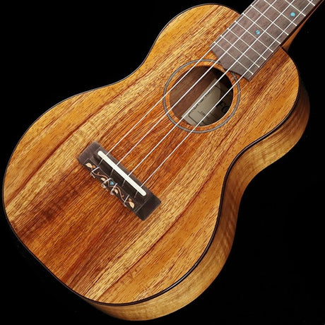 FGN_Acoustic_FUS-TC_[Concert]_Fujigen_03
