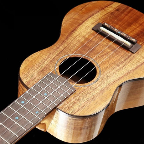 FGN_Acoustic_FUS-TC_[Concert]_Fujigen_04