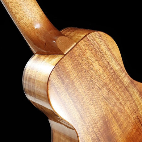 FGN_Acoustic_FUS-TC_[Concert]_Fujigen_05