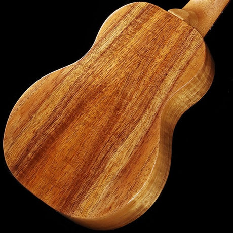FGN_Acoustic_FUS-TC_[Concert]_Fujigen_06