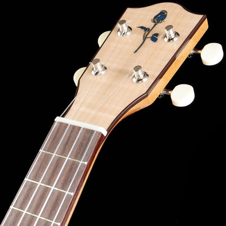 FGN_Acoustic_FUS-TC_[Concert]_Fujigen_07