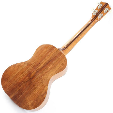 FGN_Acoustic_Tenor_FUS-TT_Fujigen_02
