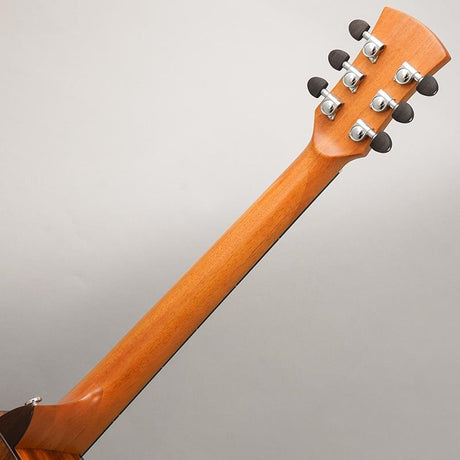 FNCE-HM_(Harvest_Moon)_Face_11