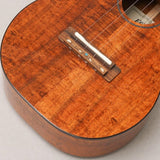 FUS-TC-02_Fujigen_08