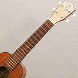 FUS-TC-02_Fujigen_09