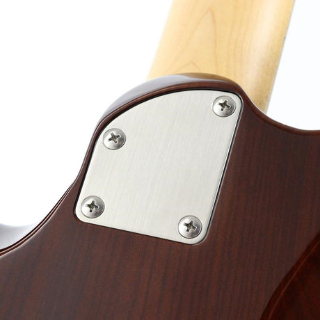 FUTURA-S_HH_AAAA_Flame_Maple_Top_(Dark_Brown_Burst_Matching_Head)_07