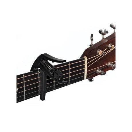 [Final_Clearance_Sale]_NS_Artist_Capo_[PW-CP-10S]_(Silver)_04