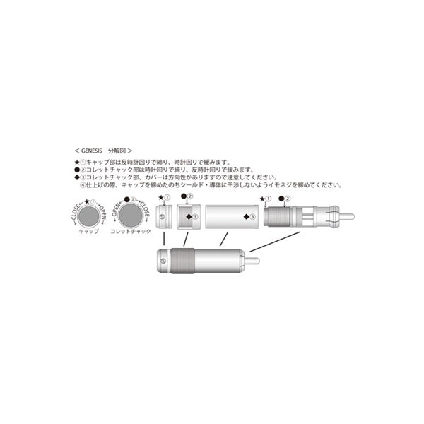 GENESIS_02