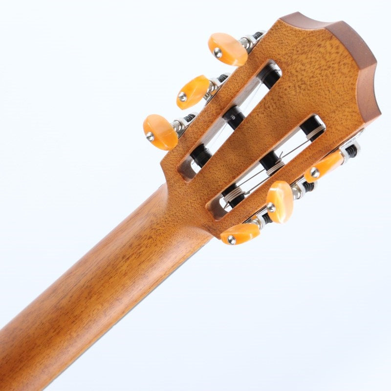 GNc4-SR_with_EAS-VTC_[Electric_Guitar]_Forch_05