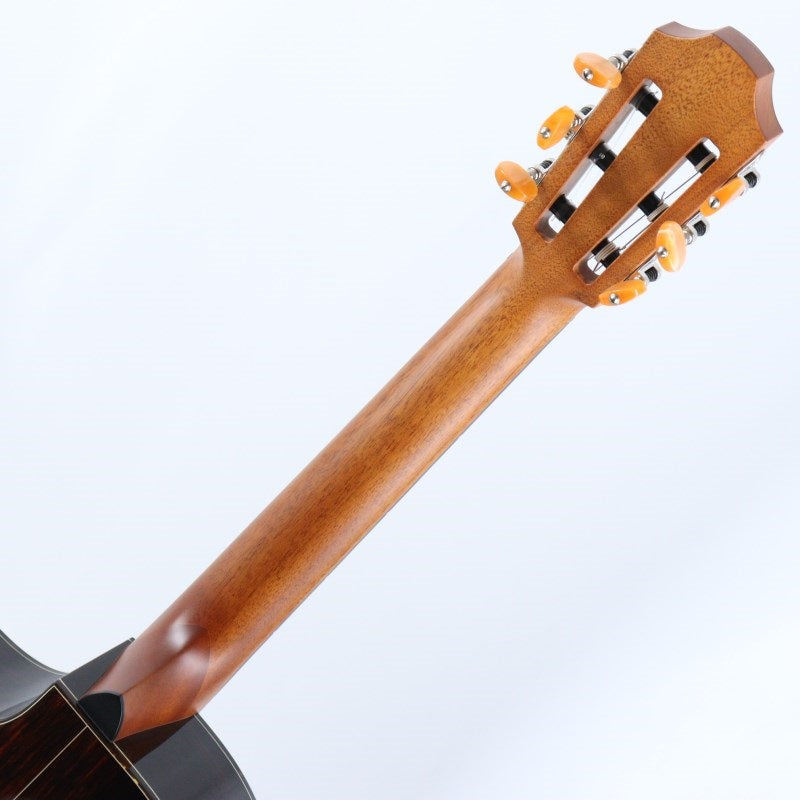 GNc4-SR_with_EAS-VTC_[Electric_Guitar]_Forch_06