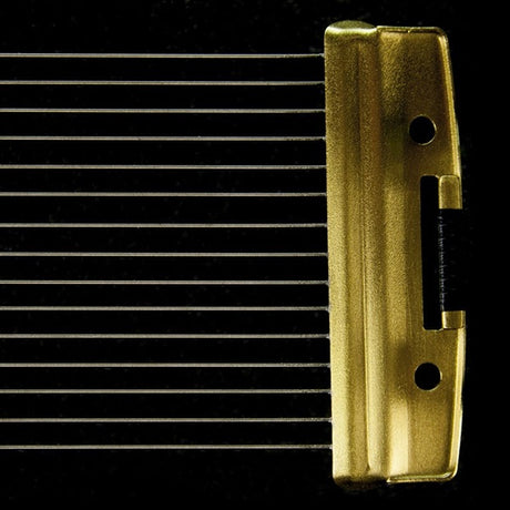 GV-14JB_[Jazz___Bright]_02