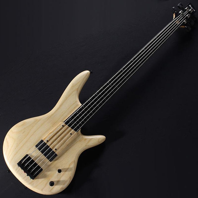 GWB1005-NTF_[Gary_Willis_Signature_Model]_01