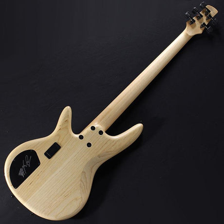 GWB1005-NTF_[Gary_Willis_Signature_Model]_02