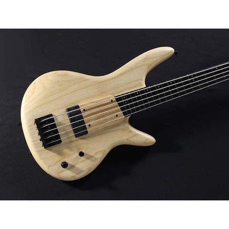 GWB1005-NTF_[Gary_Willis_Signature_Model]_03
