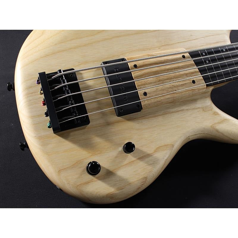 GWB1005-NTF_[Gary_Willis_Signature_Model]_04