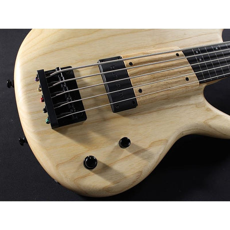 GWB1005-NTF_[Gary_Willis_Signature_Model]_04