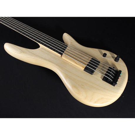 GWB1005-NTF_[Gary_Willis_Signature_Model]_06