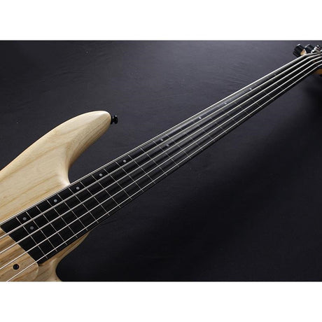 GWB1005-NTF_[Gary_Willis_Signature_Model]_07