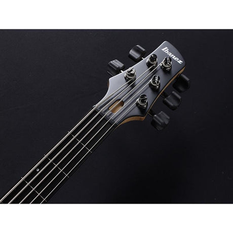 GWB1005-NTF_[Gary_Willis_Signature_Model]_08