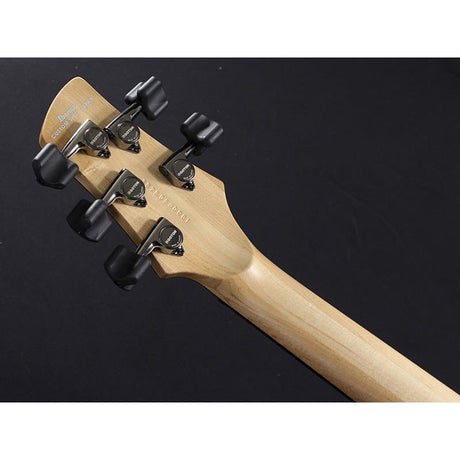 GWB1005-NTF_[Gary_Willis_Signature_Model]_09