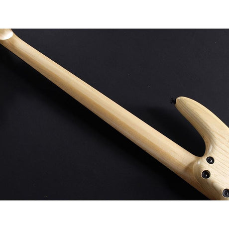 GWB1005-NTF_[Gary_Willis_Signature_Model]_10