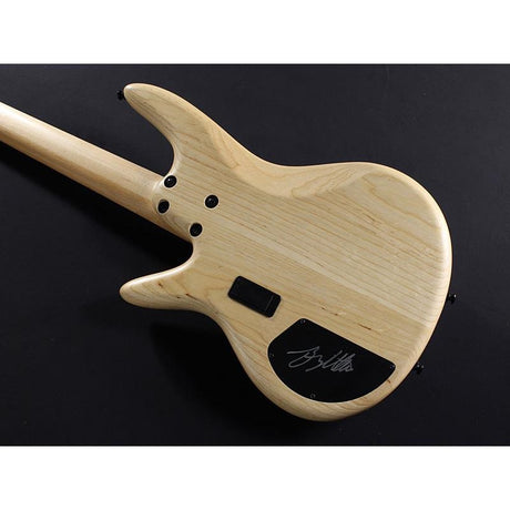 GWB1005-NTF_[Gary_Willis_Signature_Model]_11