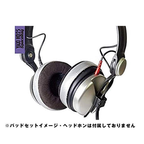 HD25_SpaceRay_04