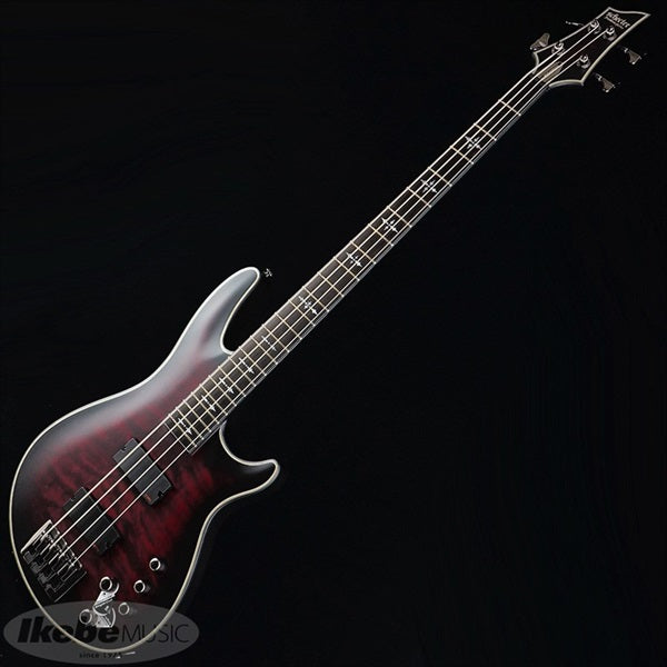 HELLRAISER_EXTREME-4_[AD-HR-EX-BASS-4]_(CRBS)_02