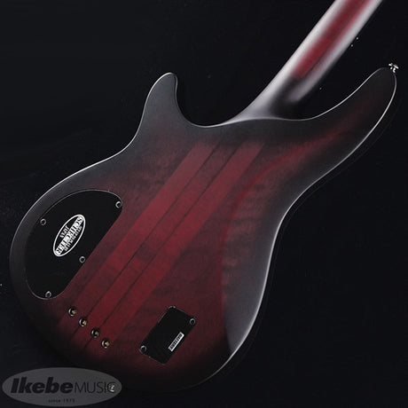 HELLRAISER_EXTREME-4_[AD-HR-EX-BASS-4]_(CRBS)_05
