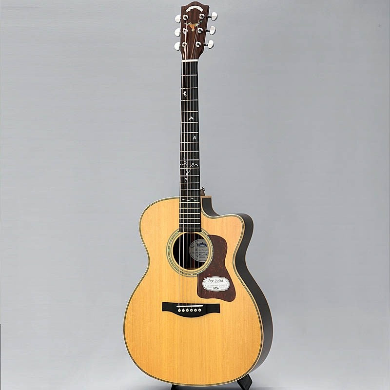 HOC-KINGFISHER_[Model_supervised_by_Yu_Watanabe]_Headway_03