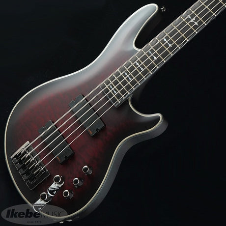 Hellraiser_Extreme-5_[AD-HR-EX-BASS-5]_(CRBS)_01