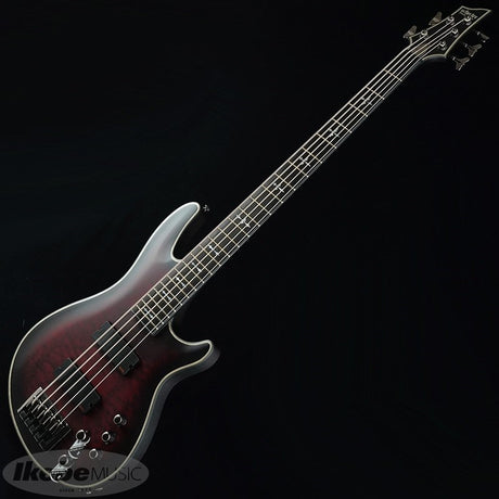 Hellraiser_Extreme-5_[AD-HR-EX-BASS-5]_(CRBS)_02