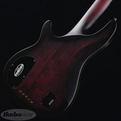 Hellraiser_Extreme-5_[AD-HR-EX-BASS-5]_(CRBS)_05